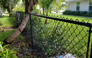 Chain Link Fence