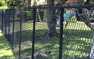 Black Chain Link Fence