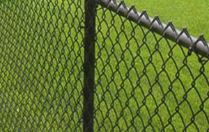 Chain Link Fence