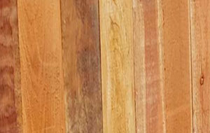 Wood Fence